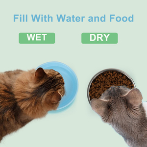 Mangkuk makanan hewan peliharaan, mangkuk anjing kucing logam Stainless Steel dapat dilepas untuk makanan air dan kering - Product Image 3