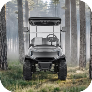 รถกอล์ฟไฟฟ้าสำหรับคลับรถกอล์ฟ4ที่นั่ง72V - Product Image 5