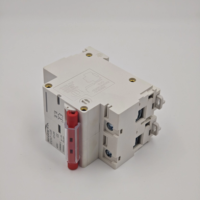 Disjoncteur DC 2P 80A 100A 125A 500V. Utilisé comme interrupteur principal avec courbe en C dans le photovoltaïque