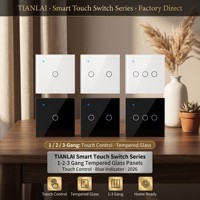 Sakelar Dinding WiFi Dua Tombol Touch Glass EU 1000W Per Tombol TL EUW02, Kontrol Jarak Jauh via Aplikasi Life, untuk Penggunaan di Toko, Hotel, dan Rumah Sehari-hari