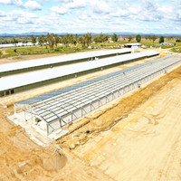 Bâtiment d'élevage de poulets en structure métallique écologique et personnalisable, fabriqué en Chine pour fermes avicoles