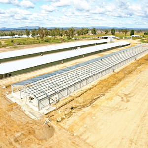 China Fabriek Pluimvee Boerderij Milieuvriendelijk Aangepaste Kleur Stalen Structuur Vleeskuikens Huis Gebouw - Product Image 5