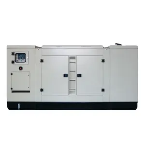 Vlais 30kva 24kw 230V/400V Single/Drie Fase 50Hz Diesel Generator Set Fabriek Directe Verkoop Met Stamford Dynamo Met Ats