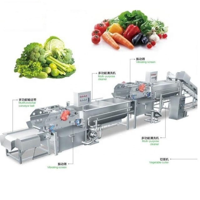 1000kg/hr Automatic Vegetable Cutting Slicing Washing Drying Packing Machine Processing Line for Frozen/ Fresh Salad Vegetables