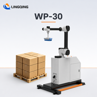 Robot de palettisation WP-30, cobot collaboratif, palettiseur de cartons automatique, empileur de boîtes de cartons, équipement logistique d'entrepôt