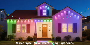 Thương mại ngoài trời RGB + IC + W thông minh chuỗi đèn Led IP65 đánh giá vườn trang trí đám cưới giáng sinh hiển thị ứng dụng đèn điều khiển - Product Image 6