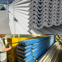 Profil d'angle en PRFV extrudé haute résistance - Résistant à la corrosion, léger, soudable pour plateformes industrielles