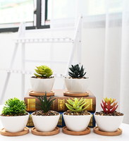Pot succulent en céramique nordique créatif Plateau inférieur simple en porcelaine blanche avec combinaison Mini pot de bureau en pot