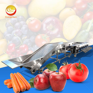 Machine de tri de taille des agrumes, des fruits et légumes ORME, orange, poire, kiwi, pomme, agrumes - Product Image 1