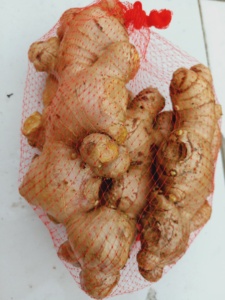 Jahe Segar China Laris Manis 100g 150g 150-250g 250g Ke Atas Jahe Segar untuk Dubai - Product Image 5