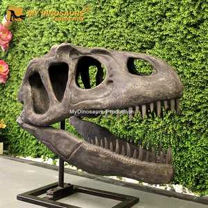 T-Rexヘッド化石My Dino人工グラスファイバーライフサイズ - Product Image 6