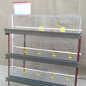 2000 kuşlar kapasiteli Modern tavuk çiftliği küçük bebek civciv tavuklar kafes h-tipi pil satılık Brooder tavuk kafesi - Product Image 1