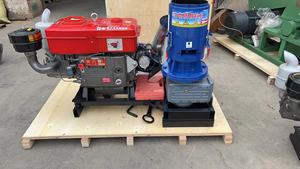 Machine à granulés <span class=keywords><strong>de</strong></span> bois Diesel CE, paille <span class=keywords><strong>de</strong></span> bois, carburant, feu, poids <span class=keywords><strong>de</strong></span> biomasse, mécanisme à billes, ligne <span class=keywords><strong>de</strong></span> production, machine à granulés <span class=keywords><strong>de</strong></span> bois - Product Image 2