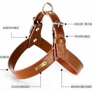 Set di Imbracature per Cani in Pelle PU di Lusso Personalizzato con NASTRI, Impermeabile e Morbido, Design alla Moda per Passeggiate con Cuccioli - Product Image 2