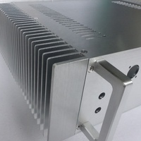Bzbrzhifi — boîtier de boîtier Double radiateur, boîtier d'amplification, châssis en aluminium, CNC os Audio Amp, nouvelle collection