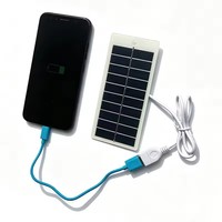 Panel Solar Tipo C/USB de 1.5W 5V para Cámaras de Seguridad Exteriores Inalámbricas, Timbre y Dispositivos de Bajo Voltaje