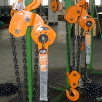 Palans à levier manuels 0,75T 1,5T 3T 6T en acier allié G80 avec chaîne à cliquet pour levage et amarrage dans la construction de sidérurgies