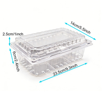 Conteneur alimentaire jetable transparent en PET avec grille de drainage pour la vente en gros, idéal pour l'emballage et la présentation de légumes, fruits et fruits de mer à emporter