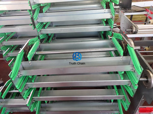 350mm 400mm 500mm 750mm Ketten-Eier fördersystem Automatische Hühnerei-Sammel maschine - Product Image 4