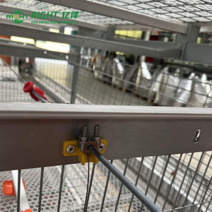 Jaula Automática Tipo H para Pollos <span class=keywords><strong>de</strong></span> Engorde YIZE, Jaula para Cría <span class=keywords><strong>de</strong></span> Aves <span class=keywords><strong>de</strong></span> Corral, Jaula para 5000 Pollos <span class=keywords><strong>de</strong></span> Engorde - Product Image 3