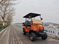 Nouvelle voiturette de golf électrique avec batterie au lithium 48V 72V, 1 ou 2 places, mini voiturettes de golf électriques, couleur personnalisée, alimentation lithium 48V