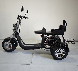 Scooter électrique à trois <span class=keywords><strong>roues</strong></span> Loyal, scooter électrique à pneus larges, Citycoco 2000w, trike 4000w, tricycle, chariot de golf, scooters de golf - Product Image 5