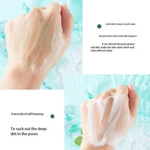 Nettoyant Visage Moussant à l'Argile Hydratant et Purifiant en Profondeur Marque Blanche - Product Image 5
