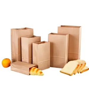 Eco-friendly Kraft Paper Bag For Cookies Breads Candy Daily Life Paper Bags From Factory Supplier