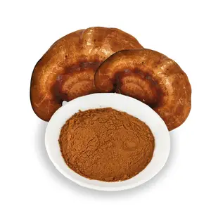 Free Sample 100% Organic Reishi Mushroom for Immune Support 10:1 Powder Herbal Extract Reishi Fruit Body Bitter Brown 24 Months