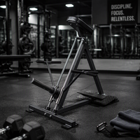 Machine à Rangées Linéaires en Acier Haiboer, Fabriquée en Chine, Équipement de Fitness pour Salle de Sport, Charge par Plaques, Capacité 1.6T, Certifiée ISO9001/CE, pour Entraînement des Bras