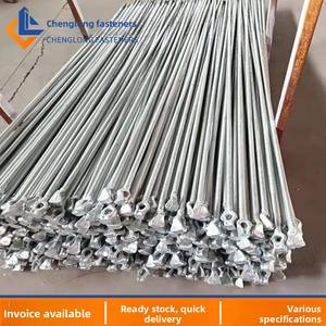 Boulons de fondation <span class=keywords><strong>à</strong></span> tête annulaire galvanisés <span class=keywords><strong>à</strong></span> chaud en stock pour fabricants, chevilles <span class=keywords><strong>d</strong></span>'<span class=keywords><strong>ancrage</strong></span> pour câbles de tension, tiges de câble de tension encastrées, anneaux de levage - Product Image 2