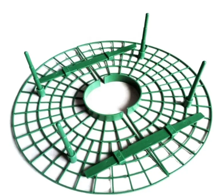 Fioriera fragola Frutta di supporto pianta rampicante vite giardinaggio staffa