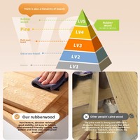 Villa pour chat de luxe en bois massif, mobile, avec vitrine panoramique en verre trempé, meuble de présentation intérieur pour animaux de compagnie, cage à chat multi-niveaux pour l'intérieur