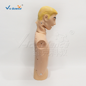 Maniquí de Entrenamiento Médico para Enfermería, Modelo Avanzado para el Cuidado de Sondas Nasogástricas y Traqueales, Maniquí de Entrenamiento Médico - Product Image 6