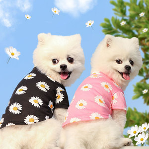 Camiseta Shine And Shine para perros pequeños, ropa de verano de manga corta a la moda para Teddy Bichon Frise - Product Image 1