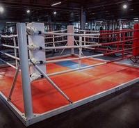 Anneau de boxe portable personnalisé à prix abordable avec logo, ring de MMA surélevé 6m*6m*1m, ring de lutte à vendre