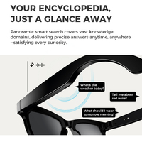 Lunettes de Soleil Intelligentes 2025 avec Audio pour Appels, Musique, Bureau, Fonctions de Traduction Intelligente et Caméra Intégrée