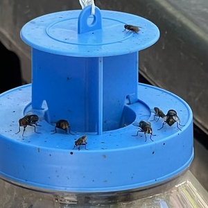 Piège à mouches suspendu réutilisable, écologique et non toxique, attrape-insectes extérieur pour abeilles, guêpes, mouches, lutte antiparasitaire de jardin - Product Image 4