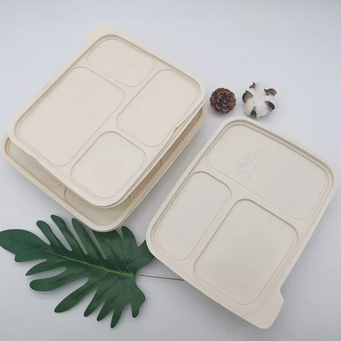 China Meal Prep Containers Supplier Food Container 500Ml 6 Compartment Compostable