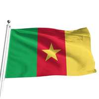 Gahumi Drapeaux nationaux camerounais suspendus 3x5ft à l'extérieur du pays personnalisé Drapeau du Cameroun Bannière