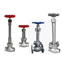 Vanne à soupape en acier inoxydable cryogénique avec longue tige PN40 DN50 extrémité de soudage contrôle manuel basse température OEM personnalisable