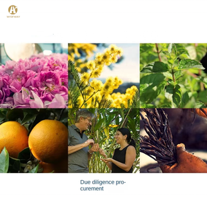 Gelombang hijau alami Peppermint pasta gigi rasa & aroma produk untuk kosmetik harga grosir - Product Image 3