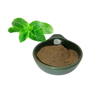 High quality pure natural plant extract peppermint extract 20:1 peppermint extract natural menthol powder