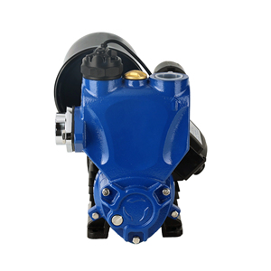 Pompe auto-amorçante à haute efficacité, booster de surface domestique, pompe centrifuge, <span class=keywords><strong>arrosage</strong></span> de <span class=keywords><strong>jardin</strong></span>, pompe peu profonde d'alimentation en eau de puits - Product Image 2