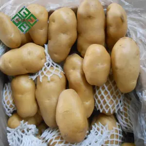Cina Patate Fresche Export 100-600g Patata Dolce