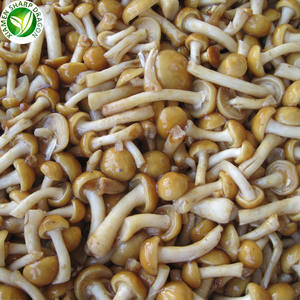 Замороженные грибы плавертус ostreatus для здорового питания IQF - Product Image 1