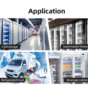 Digitale temperatuurregelaar voor koude opslag EW-182A met ontdooifunctie, geschikt voor regeling tot -50°C ° C met dubbele sensoren - Product Image 4