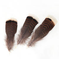 Venta al por mayor de plumas de cola de pavo naturales de 6-8 pulgadas decoraciones superventas fabricante superior chino envío rápido patrón lavado