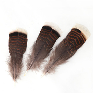 Bán Buôn 6-8 Inch Thổ Nhĩ Kỳ Tự Nhiên Lông Đuôi Tốt Nhất Bán Trang Trí Trung Quốc Hàng Đầu Nhà Sản Xuất Giao Hàng Nhanh Chóng Rửa Mô Hình - Product Image 6