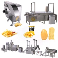 Groothandel Directe Verkoop Automatische Aardappelchips Productielijn Diepvries Frietenmachine